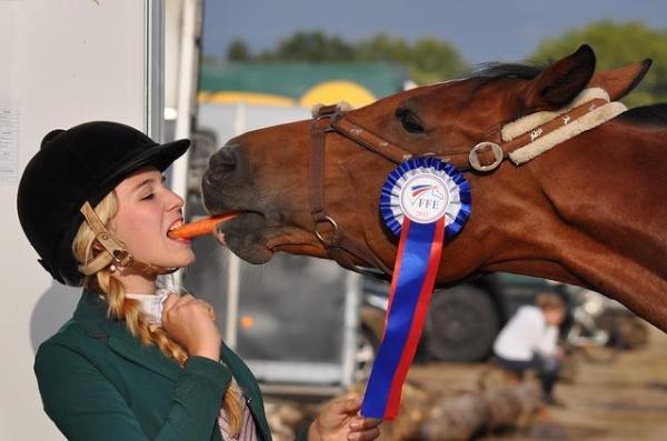 Nomi per cavalli maschi e femmine - Perché devi trovare un nome adeguato per il tuo cavallo