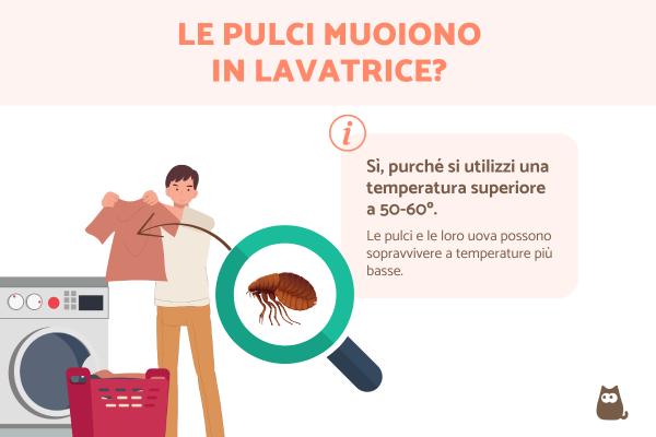 Le pulci muoiono in lavatrice?