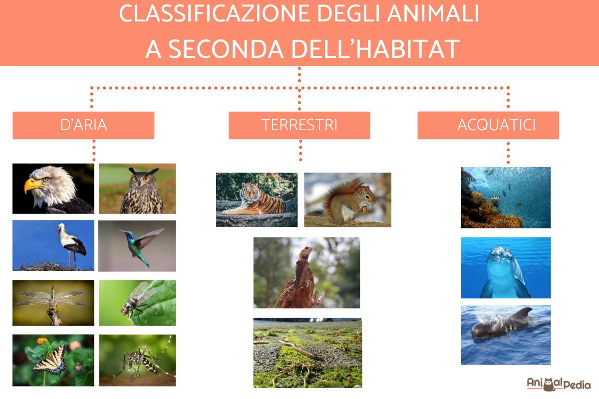 Classificazione degli animali in base al luogo in cui vivono