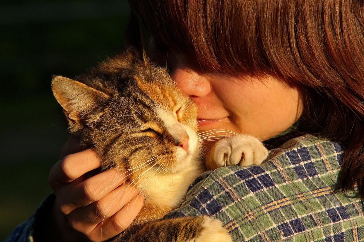 I gatti riconoscono il padrone?