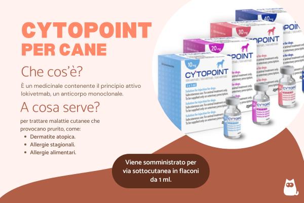 Cytopoint per cane: posologia e a cosa serve