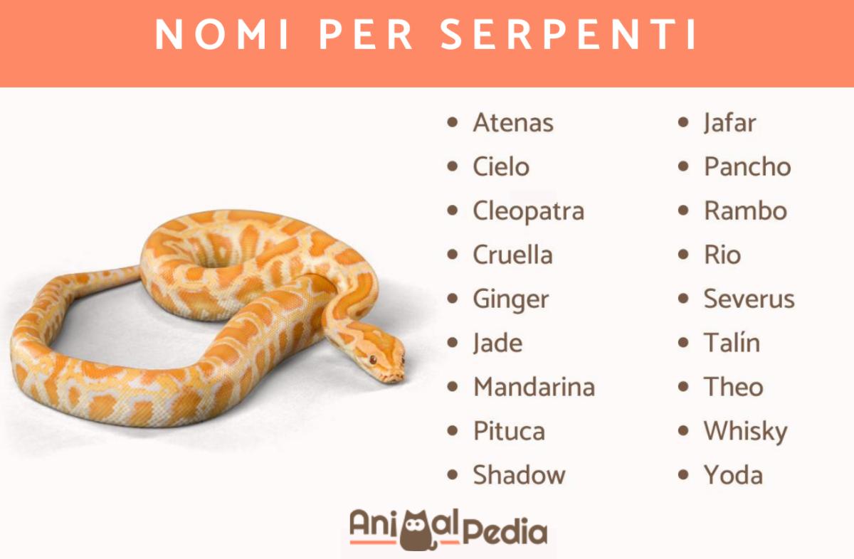 Nomi per serpenti domestici