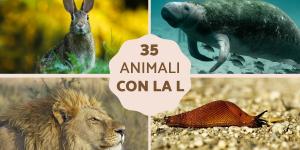 Animali con la L - In italiano e in inglese