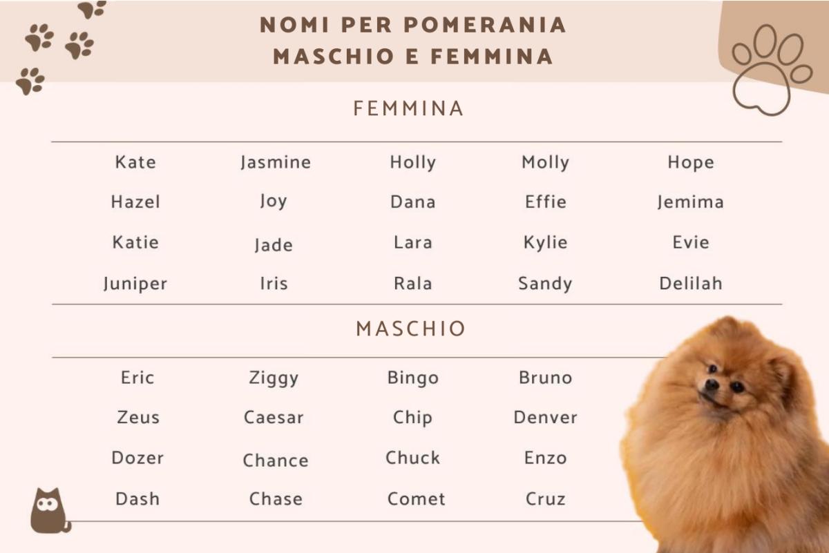 Nomi per pomerania