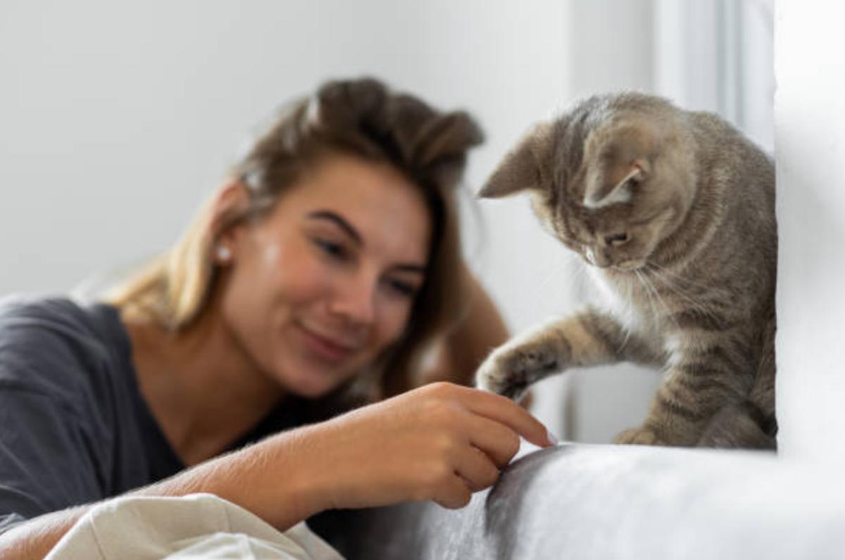 Cosa vuol dire quando il gatto ti tocca con la zampa?
