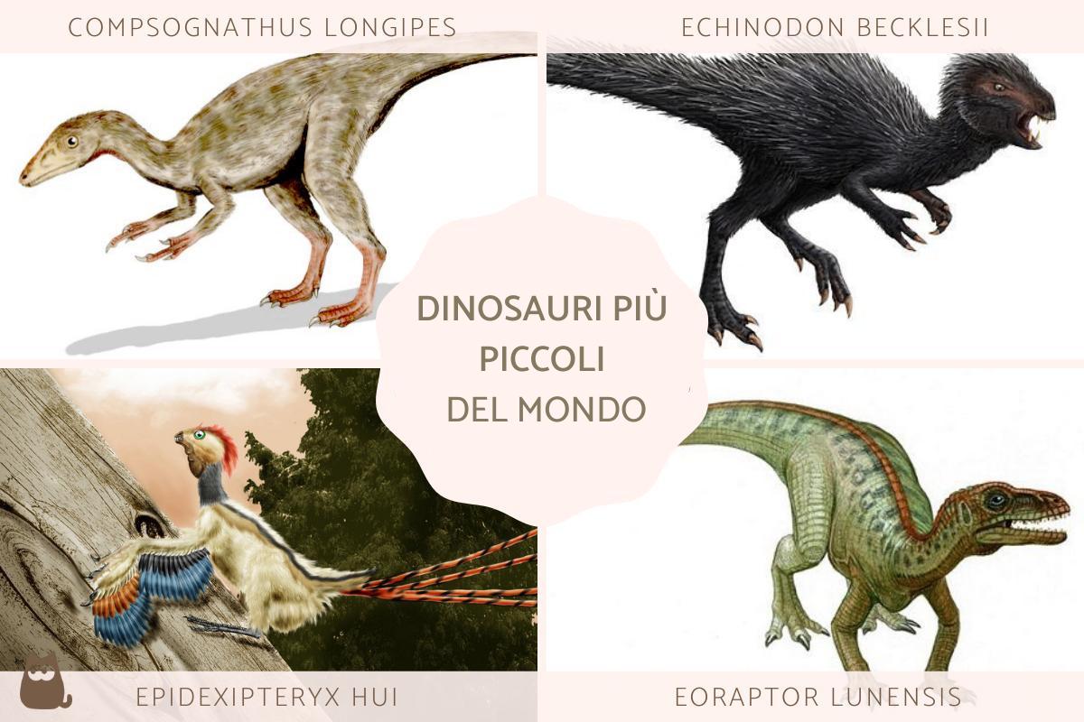 Dinosauri piccoli erbivori e carnivori
