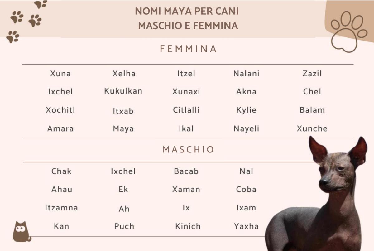 Nomi maya per cani