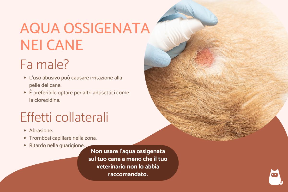 Aqua ossigenata nei cane: usi e controindicazioni