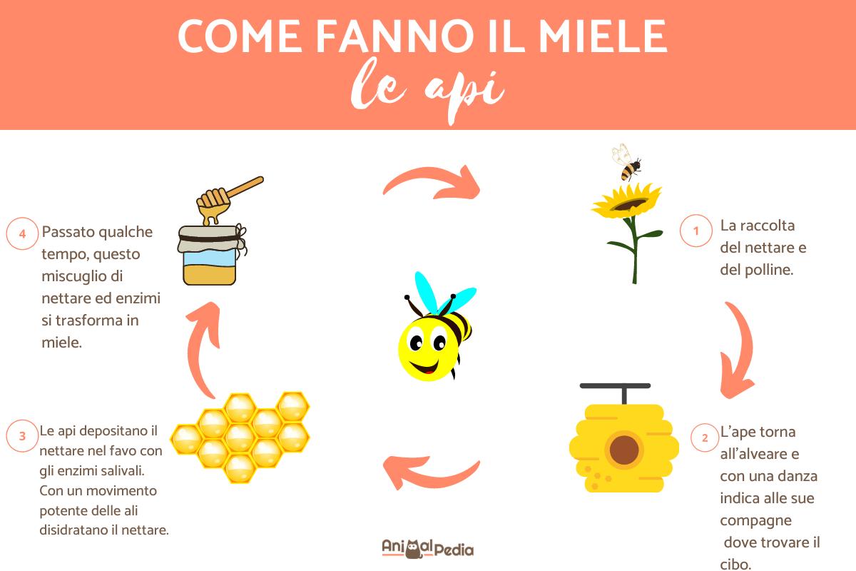 Come fanno il miele le api?