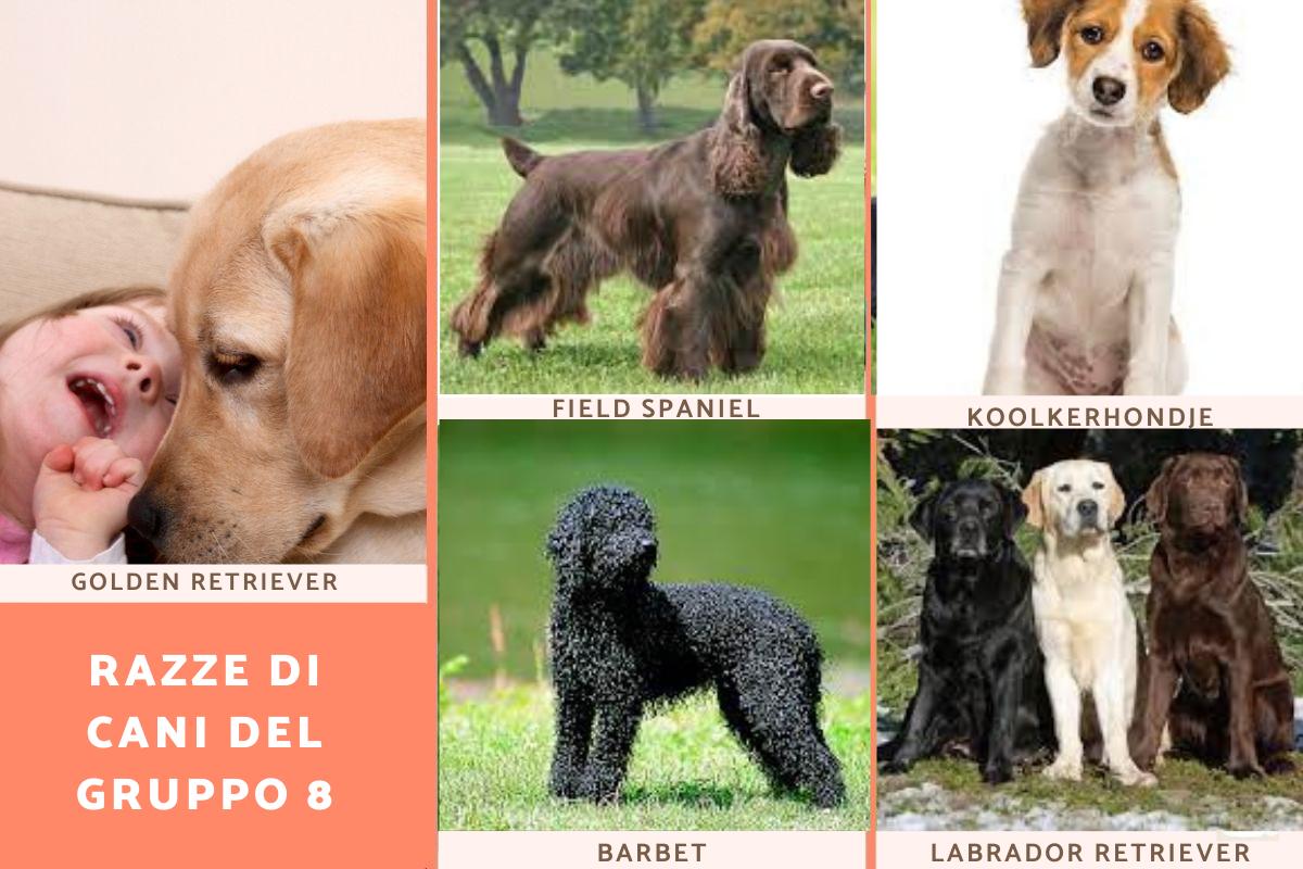 razze di cani e immagini
