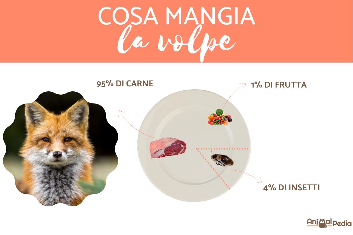 Cosa mangia la volpe?