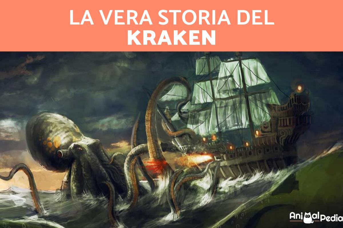 Il Kraken esiste?