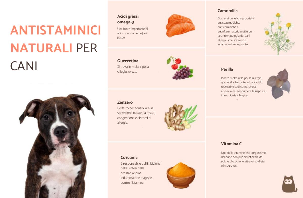 Antistaminici naturali per cani