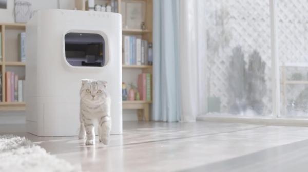 Miglior lettiera per gatti: qual è e come sceglierla - 4. Lettiere autopulenti per gatti