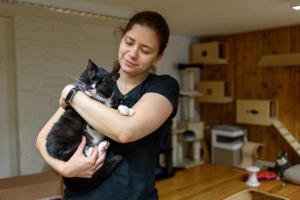Non posso più tenere il gatto, dove posso portarlo? - Opzione 4: dare via il gatto