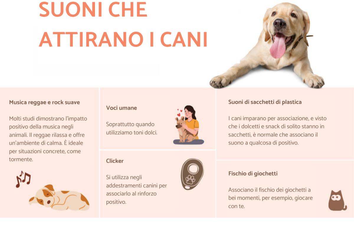 Suoni che attirano i cani