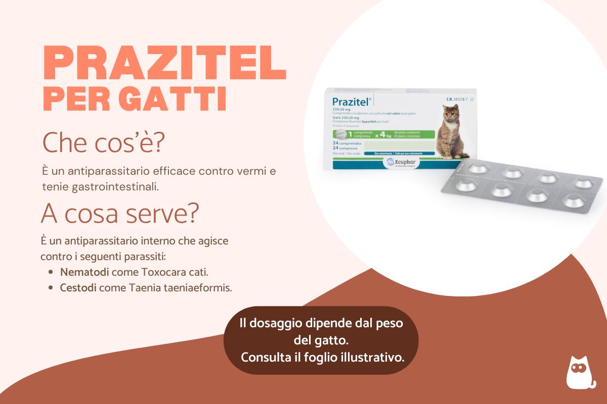 Prazitel per gatti: dosaggio e a cosa serve