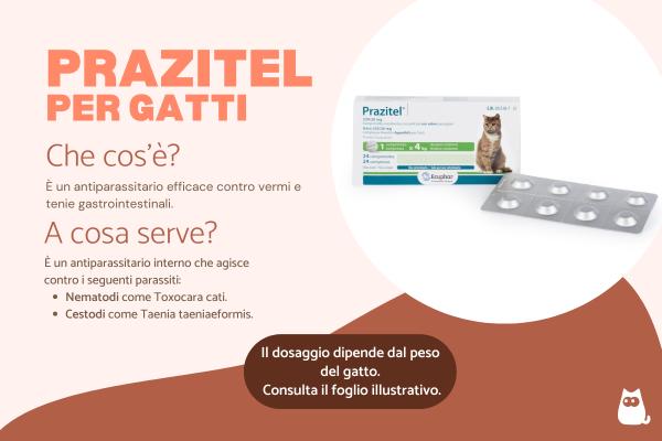 Prazitel per gatti: dosaggio e a cosa serve