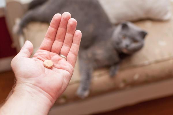 Prazitel per gatti: dosaggio e a cosa serve - Qual è la dose di Prazitel per gatti?