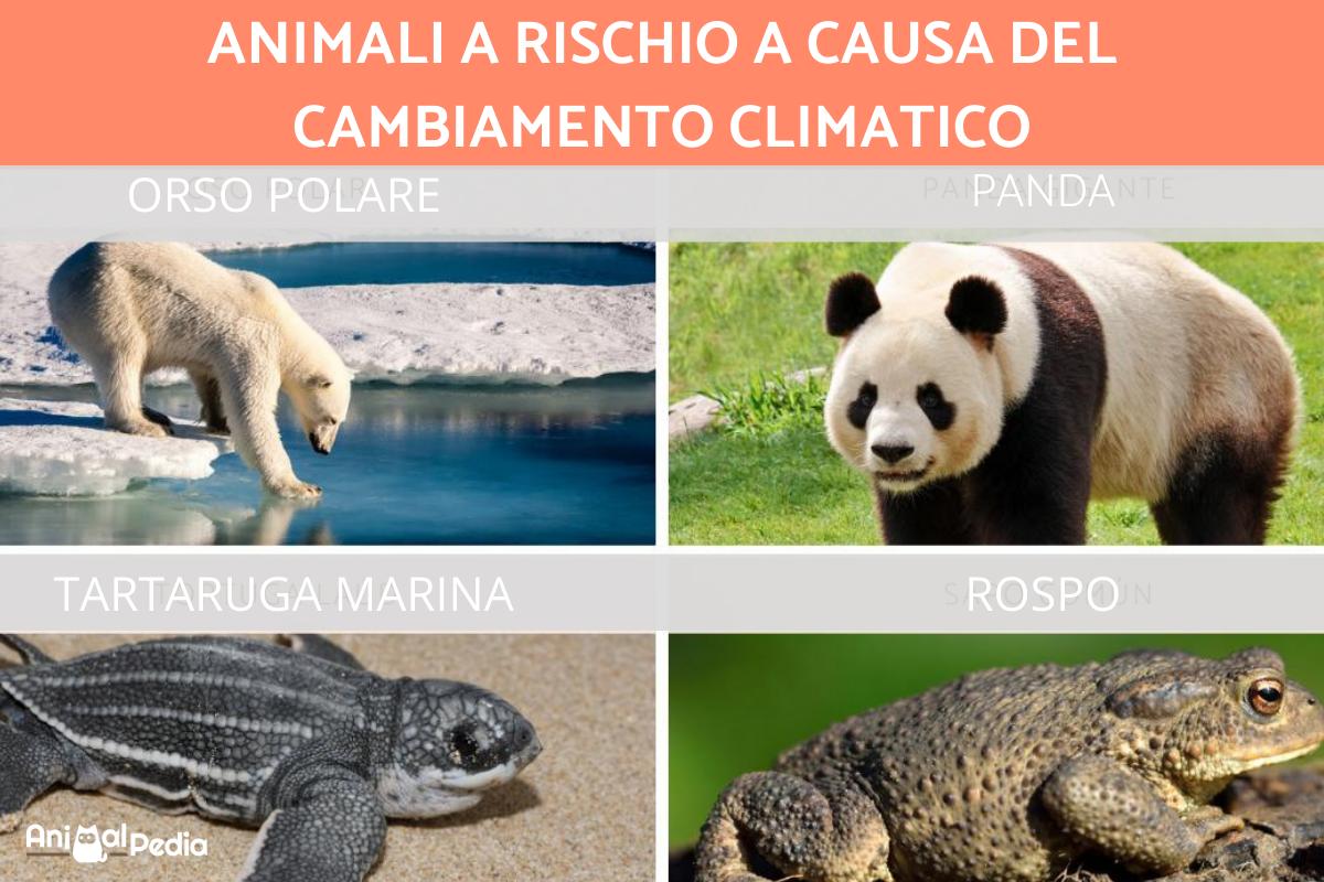 Conseguenze dei cambiamenti climatici sugli animali
