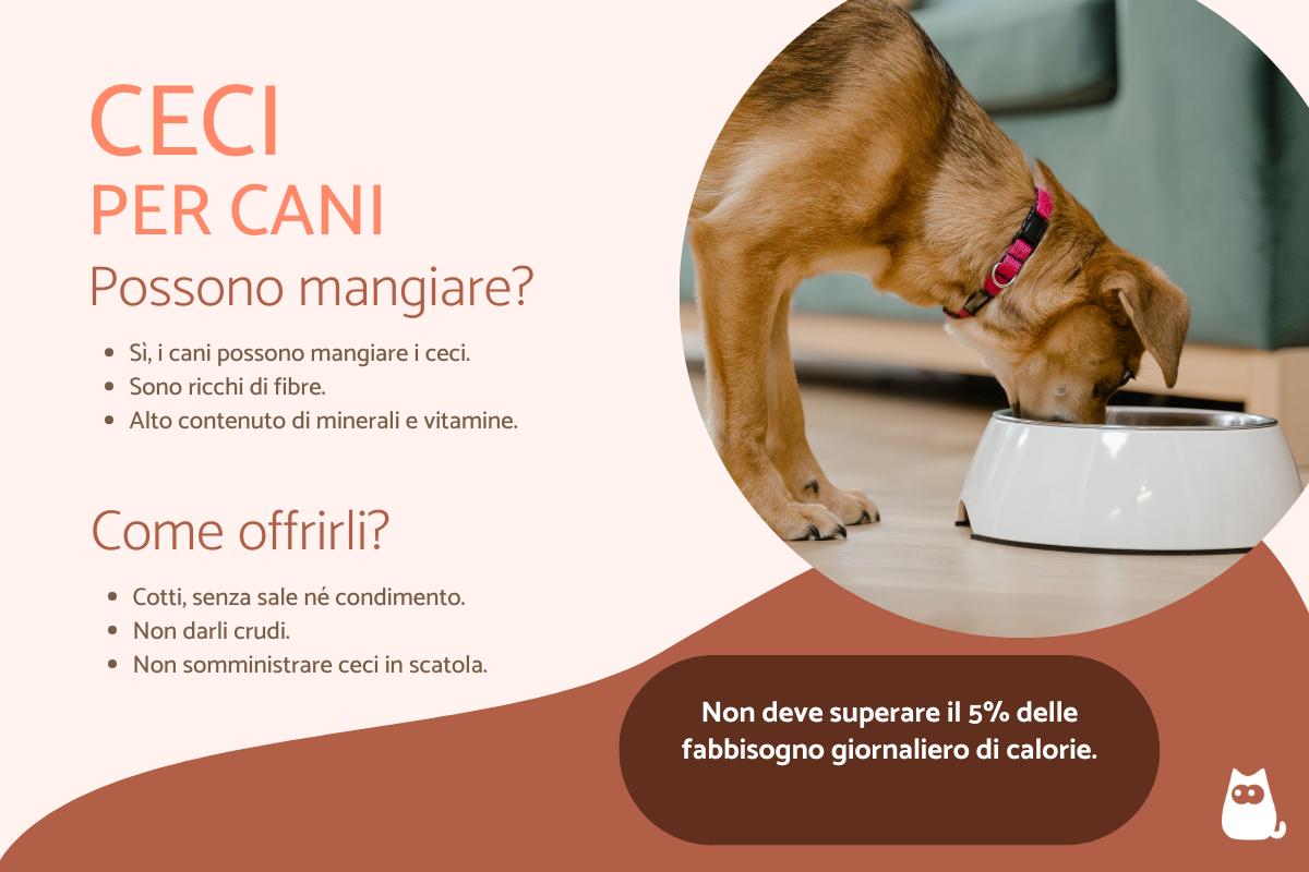 I cani possono mangiare i ceci?