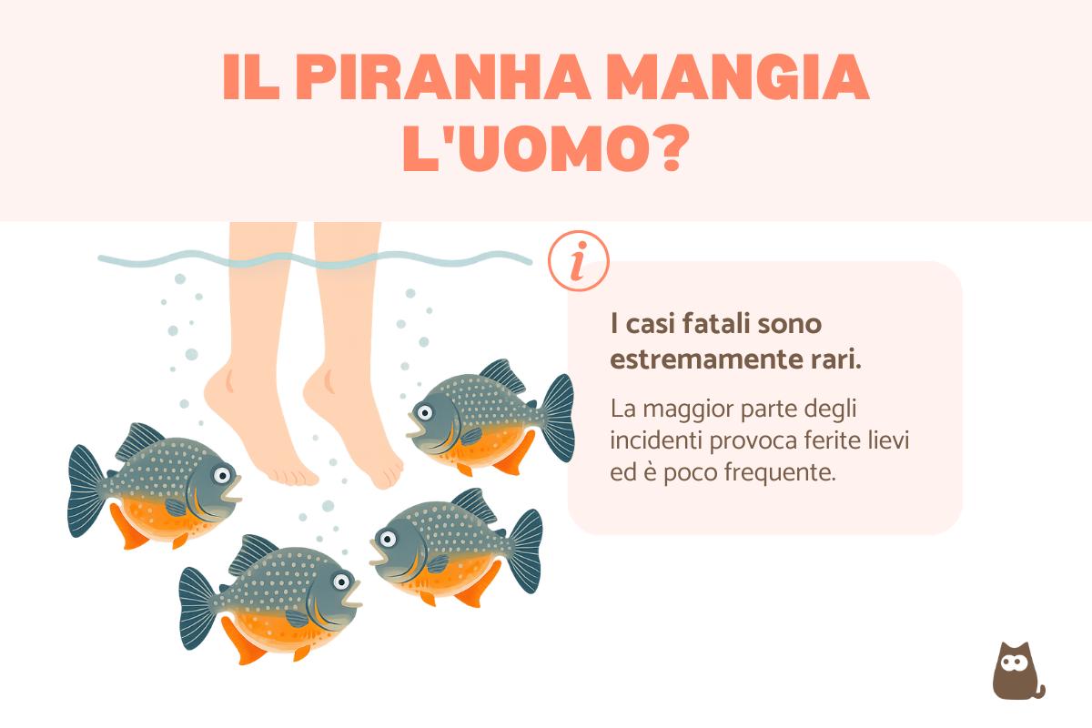 Il piranha mangia l'uomo?