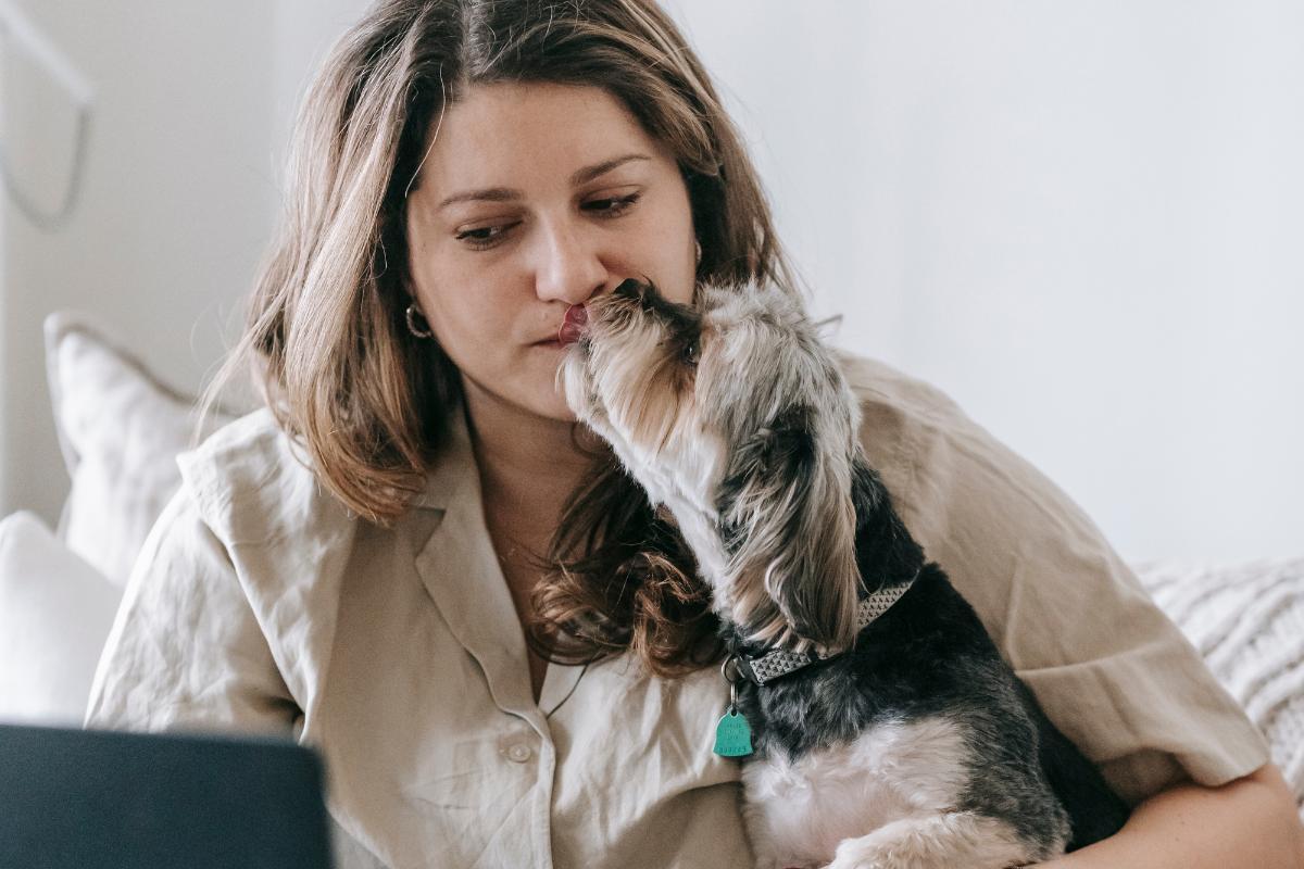 Malattie trasmesse dalla saliva del cane