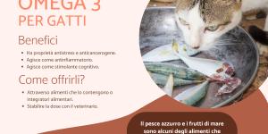 Omega 3 per gatti: a cosa serve, dosaggio e come dare