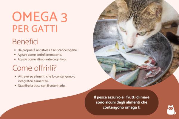 Omega 3 per gatti: a cosa serve, dosaggio e come dare