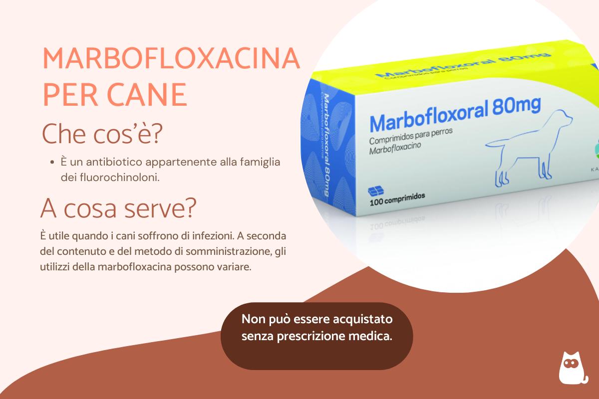marbofloxacina-per-cane-dosaggio-ed-effetti-collaterali