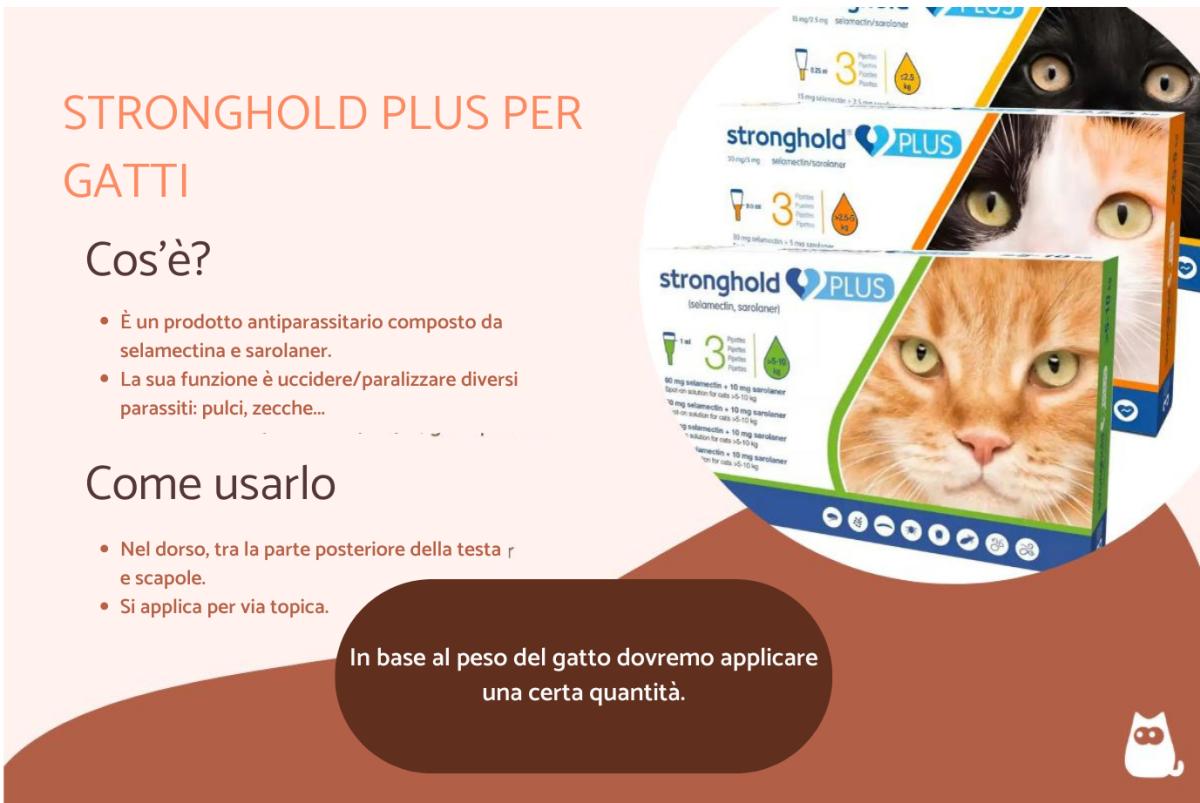 Stronghold plus per gatti: a cosa serve, come si usa e effetti collaterali