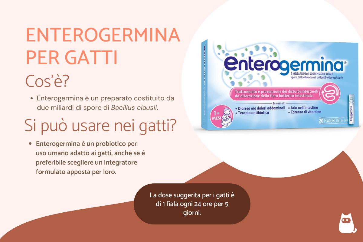 Enterogermina per gatto: a cosa serve, dosaggio ed effetti collaterali