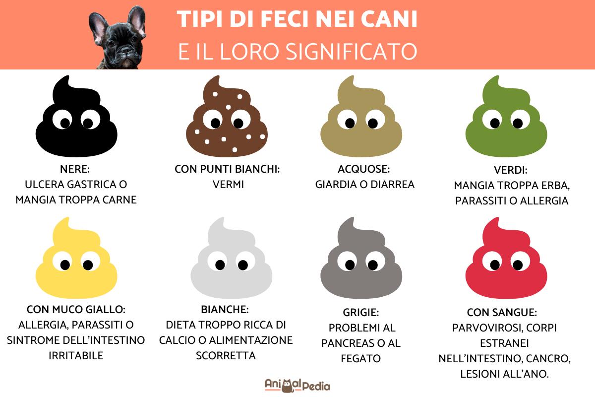 Tipi di FECI nei CANI