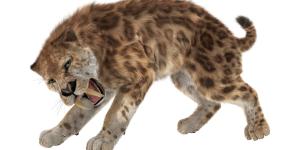 Tigre dai denti a sciabola: caratteristiche e curiosità