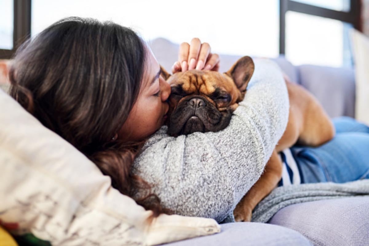 Le 7 Razze di cani più fedeli e obbedienti