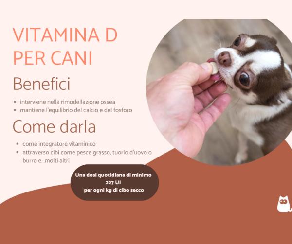 Vitamina D per cani: dosaggio e come darla