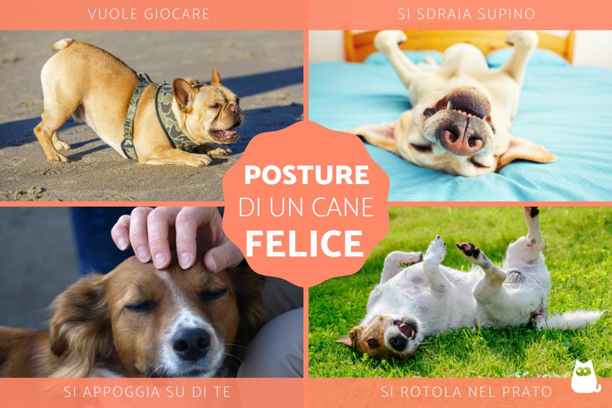 Come capire se il cane è felice?