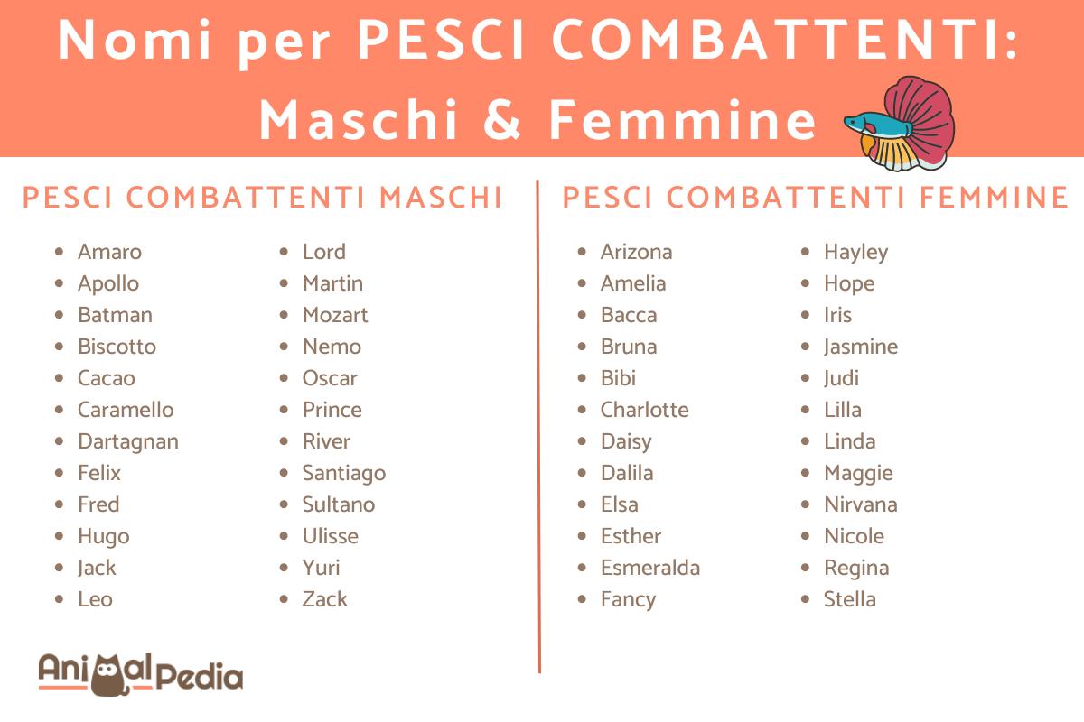Nomi per pesci combattenti: maschi e femmine