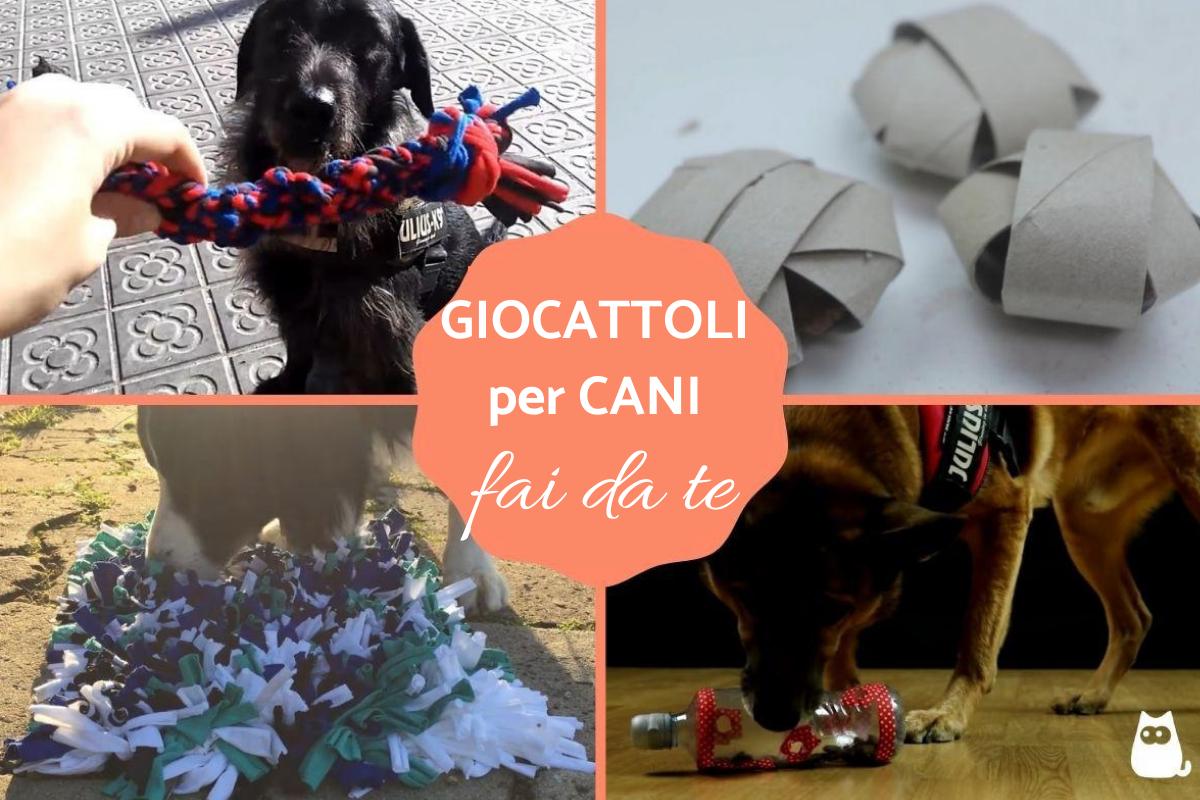 Giochi per cani fai da te
