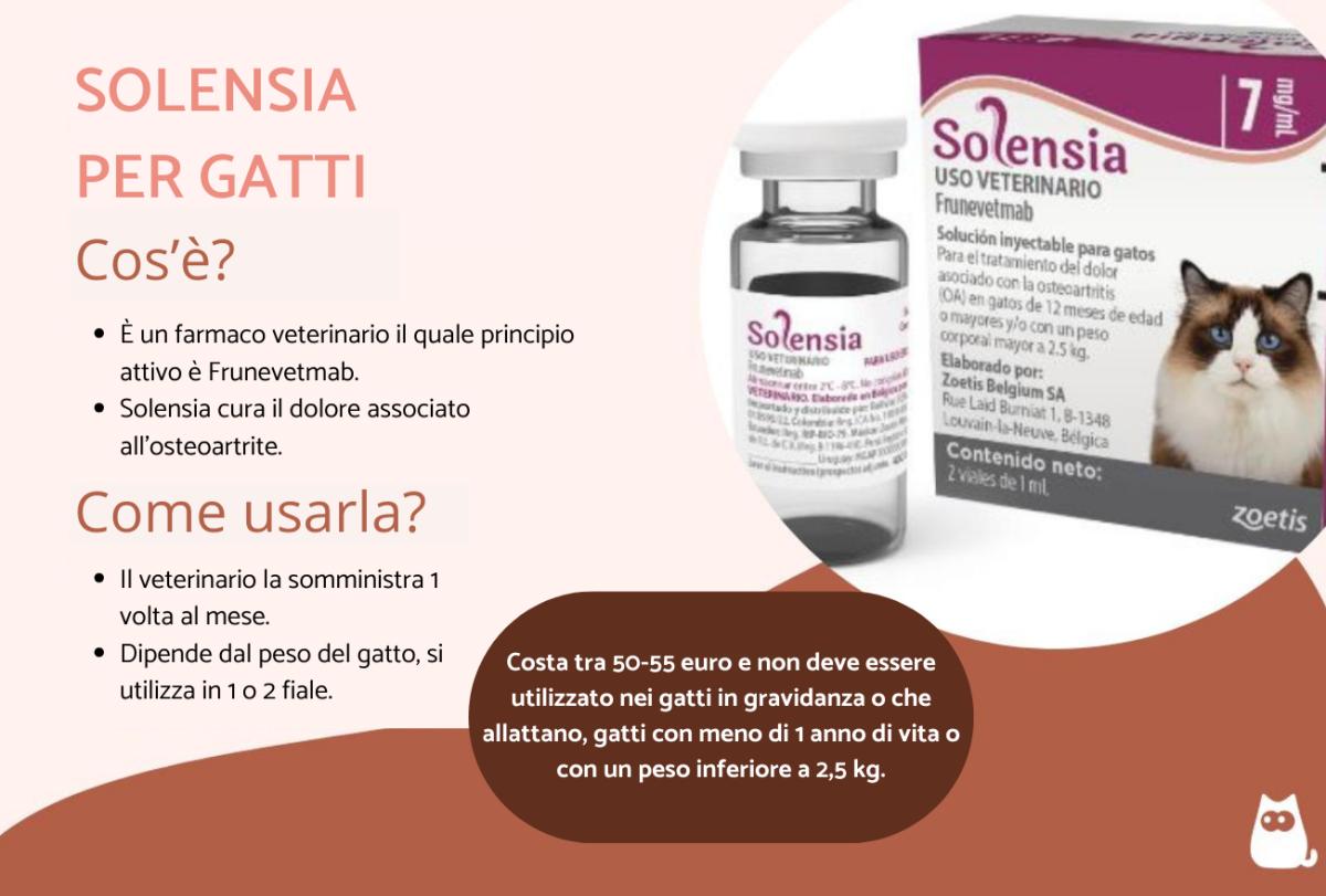 Solensia per gatto: dosaggio, effetti collaterali, dopo quanto fa effetto e prezzo
