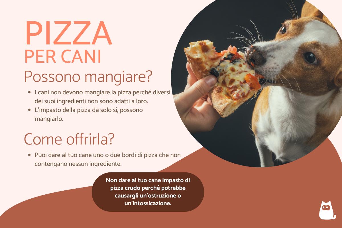 I cani possono mangiare la pizza?