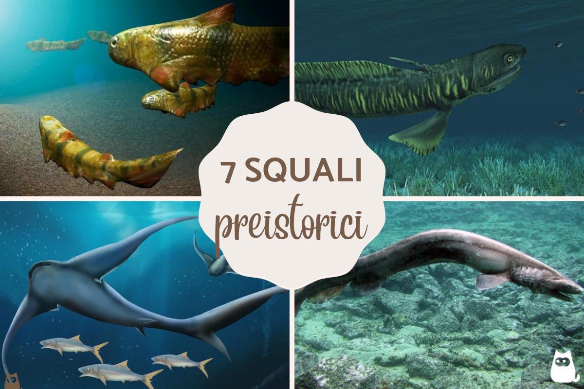Squali preistorici: Estinti e vivi