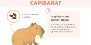 Cosa mangiano i capibara?