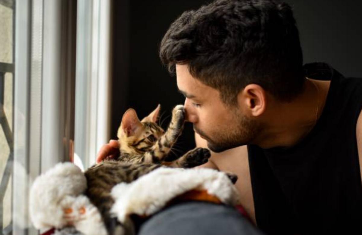 I gatti capiscono quando piangi?