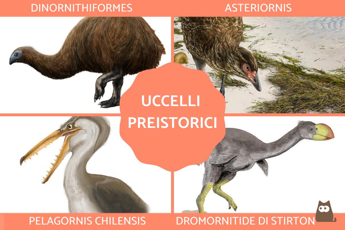 Uccelli preistorici estinti e viventi
