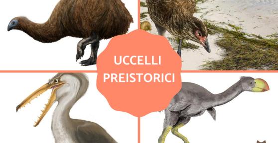 Uccelli preistorici estinti e viventi
