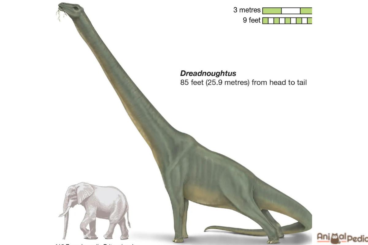il dinosauro più brutto del mondo