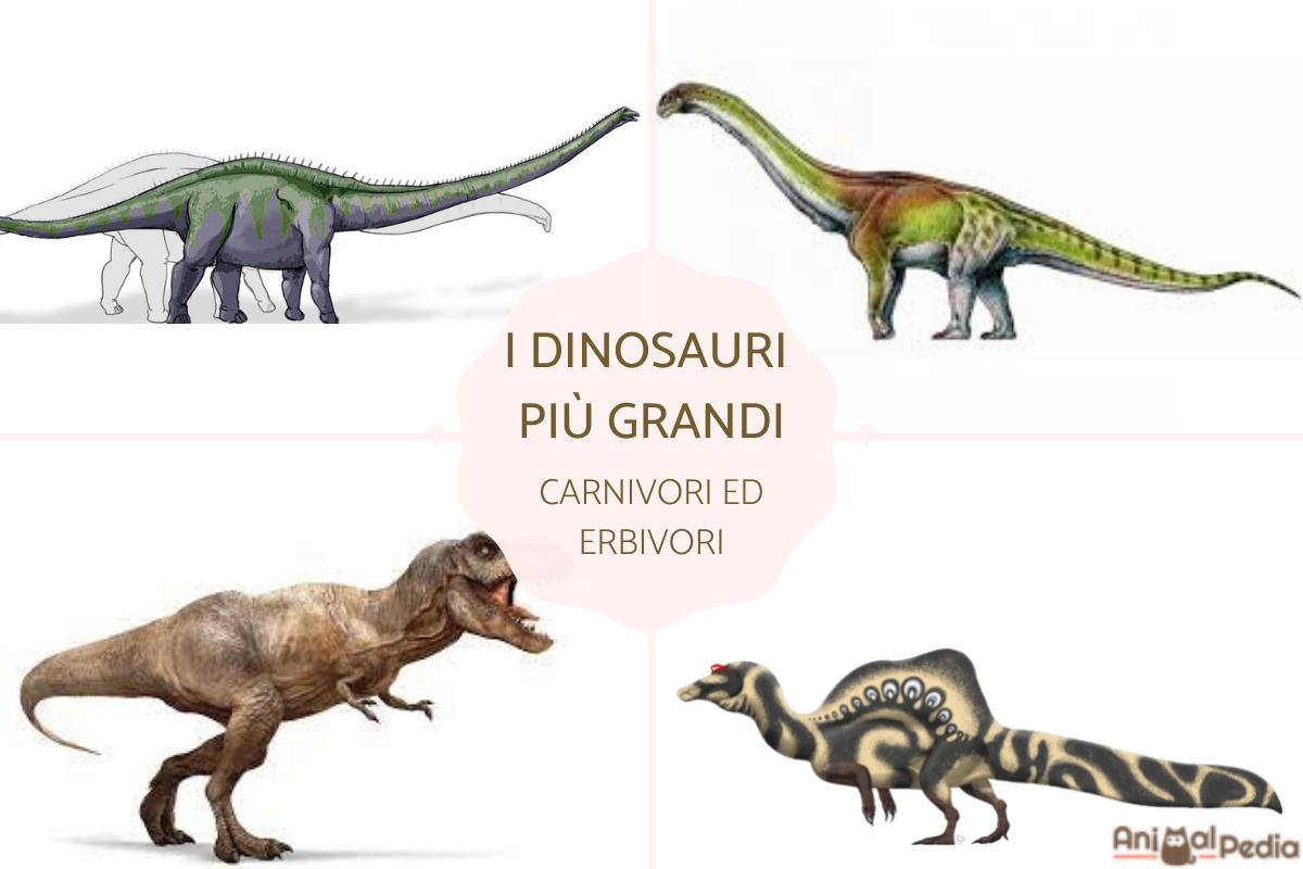 Qual'è il dinosauro più grande?