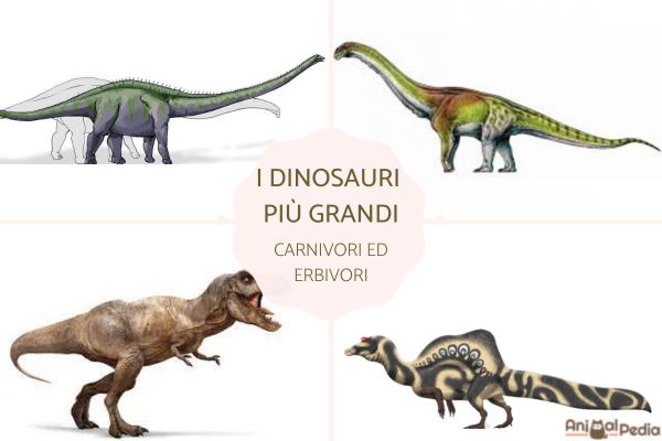 Qual'è il dinosauro più grande?