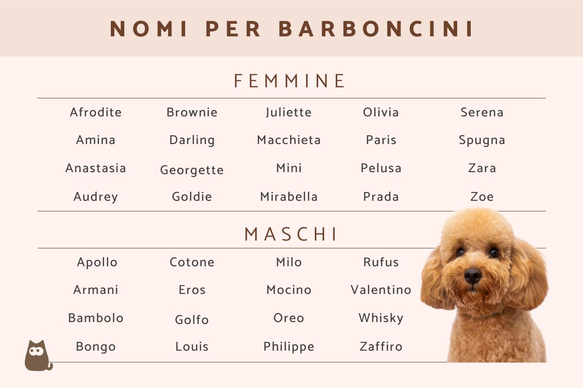 Nomi per Barboncini maschi e femmina